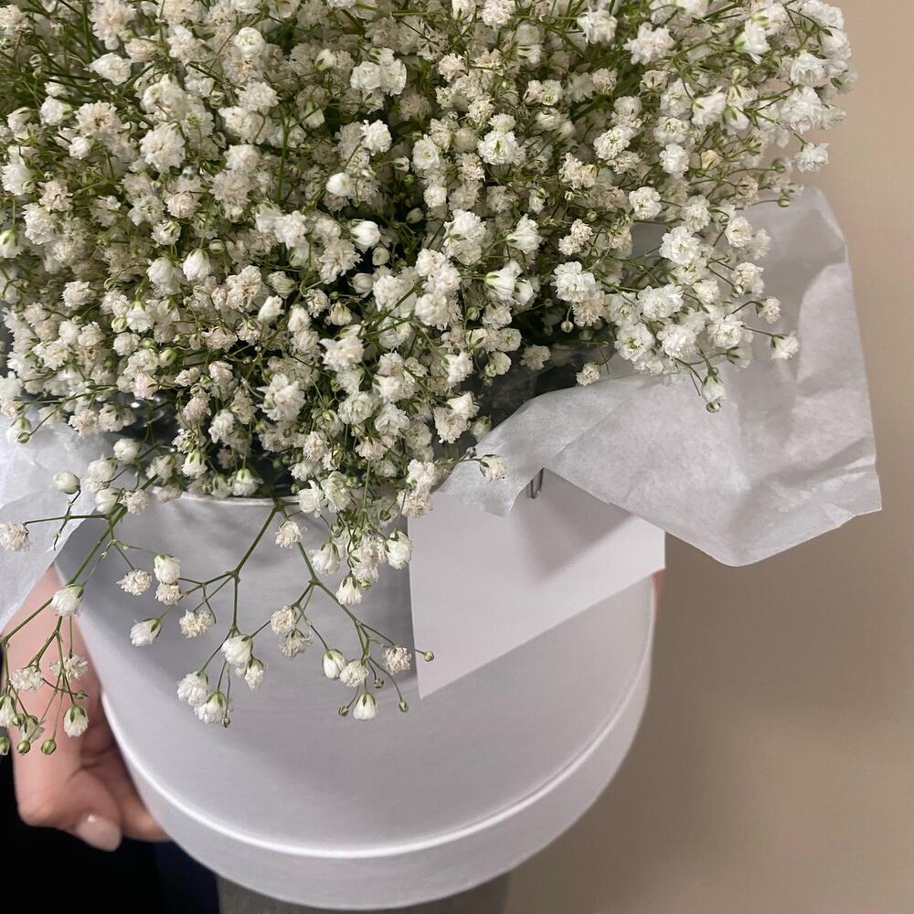 Облако гипсофилы 