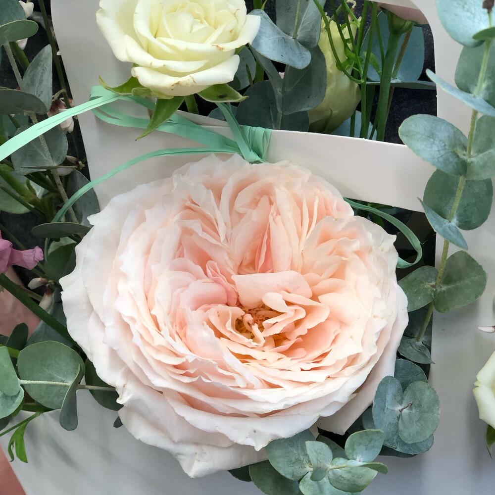 Цветы в сумочке с пионовидной розой Цветы в сумочке с пионовидной розой